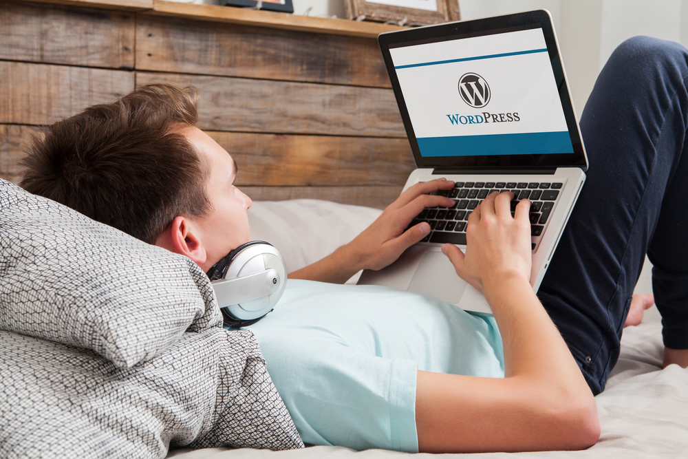 man on a laptop browsing wordpress themes