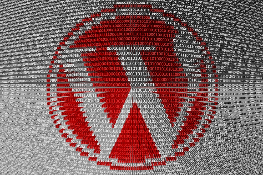 WordPress binary