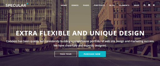 WordPress Multisite Themes