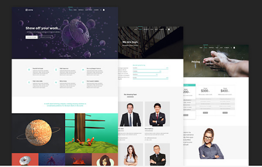 WordPress Multisite Themes