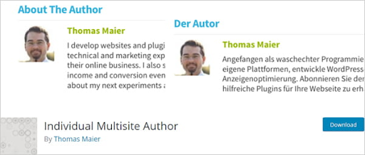 WordPress Multisite Themes