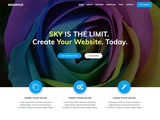 WordPress Multisite Themes