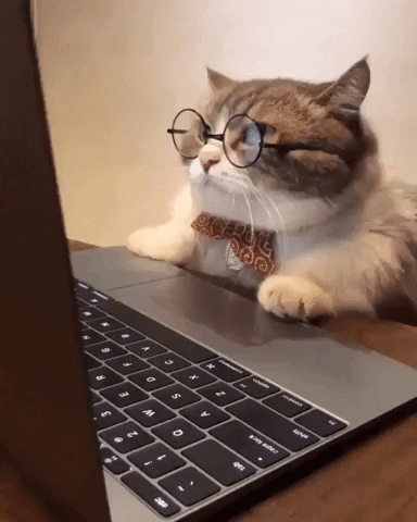 WordPress maintenance service