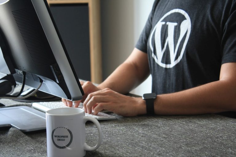 wordpress guy