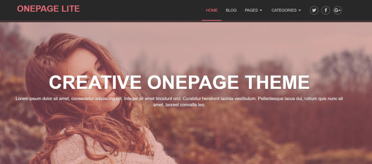 onepage theme