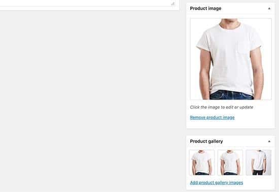 woocommerce website