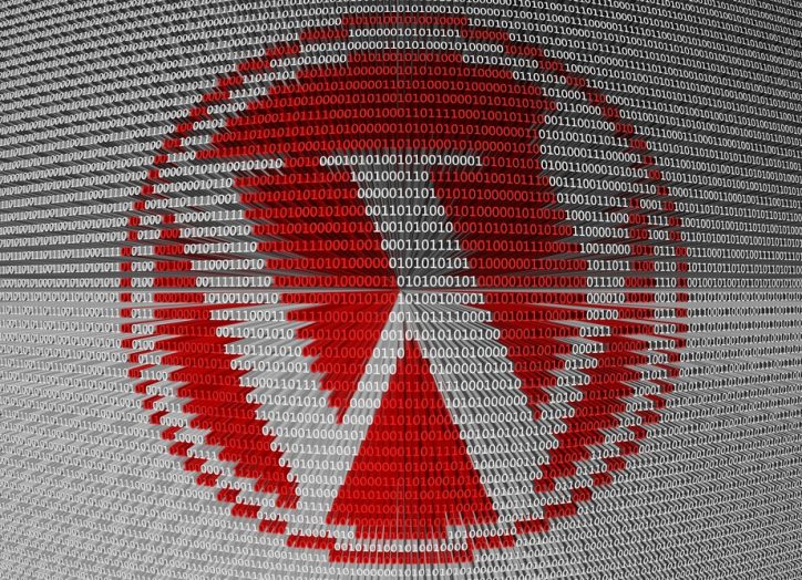 WordPress binary