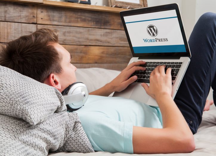 man on a laptop browsing wordpress themes